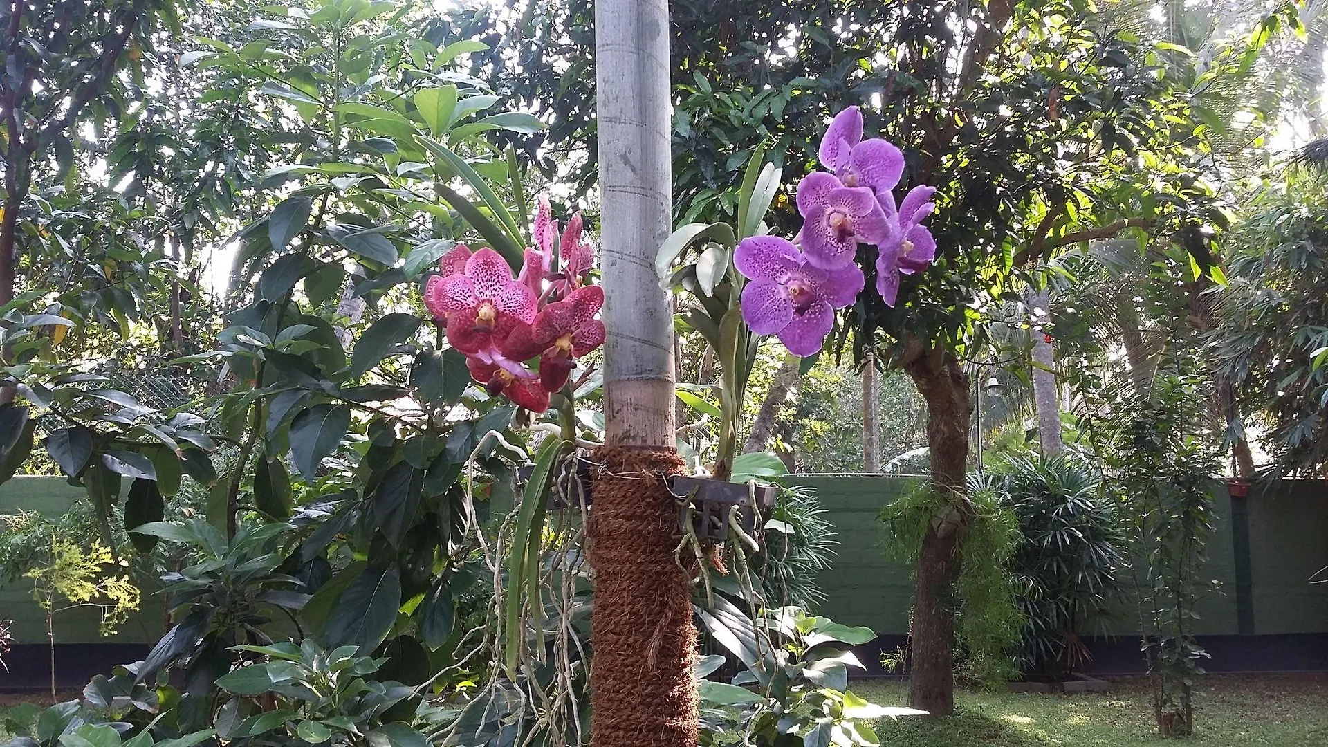 West Dene Bed and Breakfast Νεγκόμπο Σρι Λάνκα