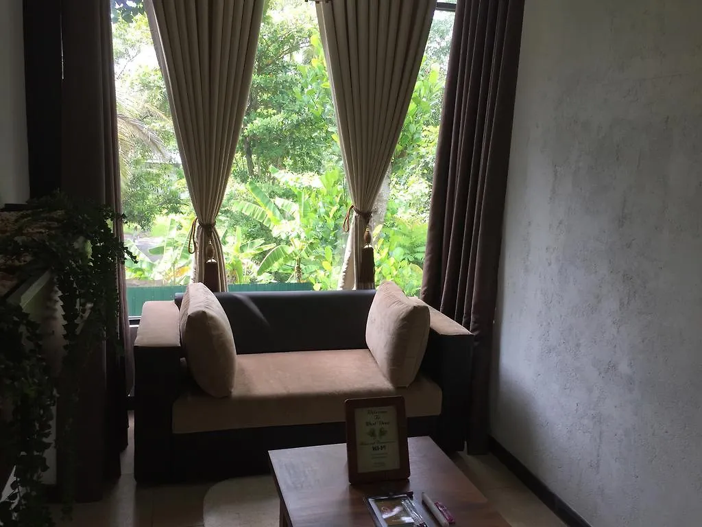 West Dene Bed and Breakfast Νεγκόμπο