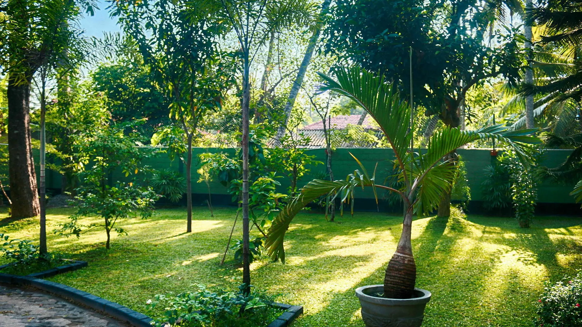 West Dene Bed and Breakfast Νεγκόμπο